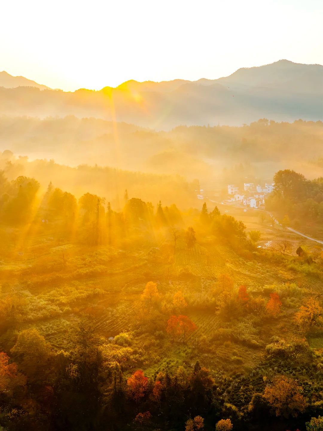 这才是秋天该有的样子，国内没有平替！_7_陈帆fotochen_安徽徽州-来自52tours 我爱旅游网